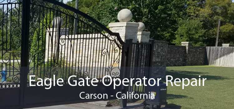 Eagle Gate Operator Repair Carson - California