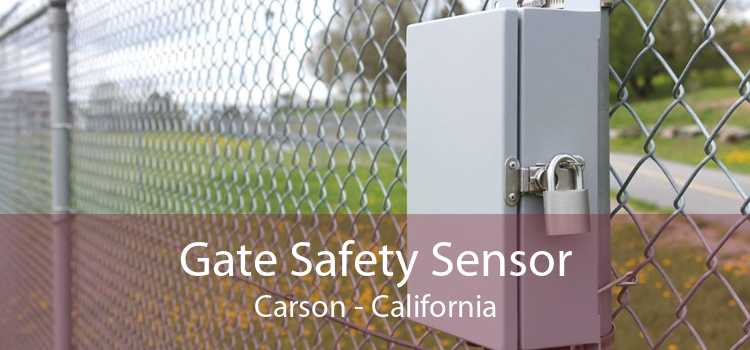 Gate Safety Sensor Carson - California