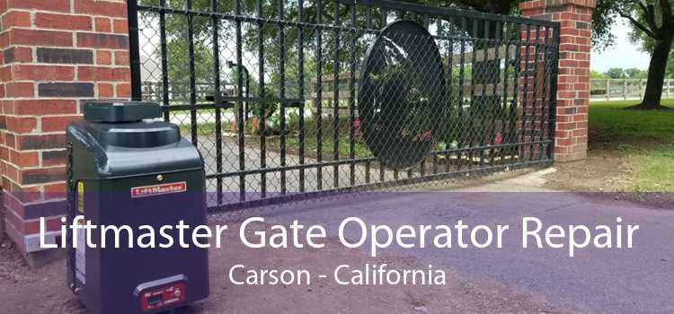 Liftmaster Gate Operator Repair Carson - California